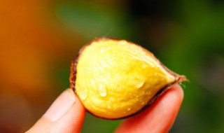 板栗的久存方法 保存板栗的方法