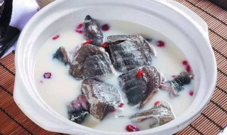 甲鱼怎么做汤喝 甲鱼汤怎么做