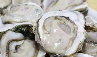 怎么做深海生蚝 做生蚝的步骤