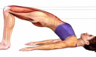 新手练菱形肌方法 新手练菱形肌方法有哪些