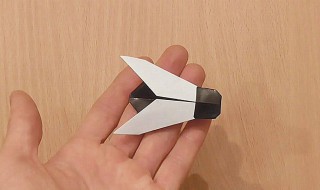 除苍蝇的方法 驱除苍蝇的方法有哪些