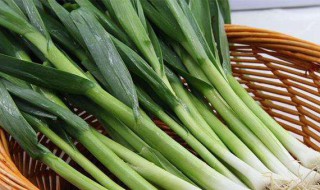 简易蒜苗种植方法 几个蒜苗种植小技巧