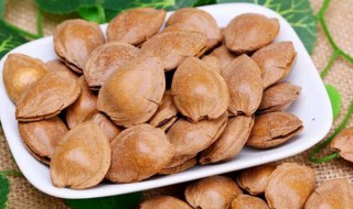 杏核敲开的方法 杏核敲开的方法介绍