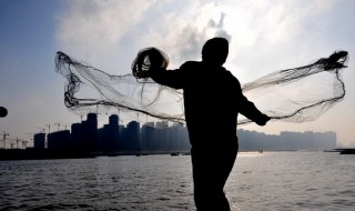 捕鱼的技巧 捕鱼的方法技巧介绍