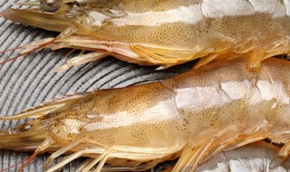 养虾的小技巧 如何养虾