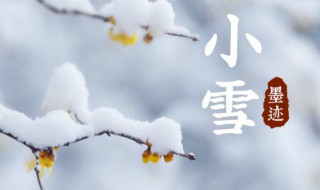 关于小雪节气的资料 小雪节气的简介