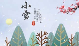 关于24节气小雪的知识 节气小雪简介