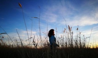 回首遥望的首和遥是什么意思 回首遥望造句