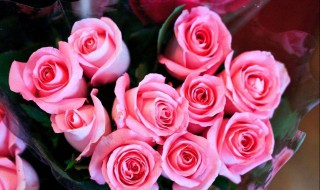 27朵玫瑰花代表什么意思 27朵玫瑰花花语介绍