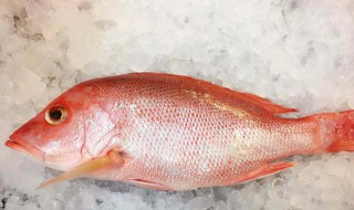 红鱼怎么做的好吃 红鱼好吃的做法