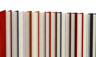 莫衷一是的意思是什么 莫衷一是的解释