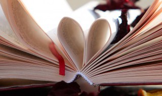 烧怎么组词？ 烧可以组成哪些词语