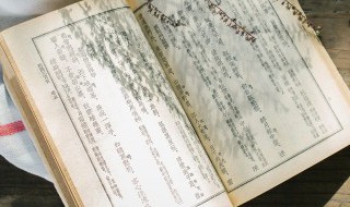 目组词有哪些词语 目可以组成哪些词语