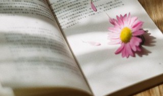 甲的组词有哪些 甲的组词有什么