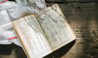 一个人安静美好的诗句 一个人安静美好的诗句是什么