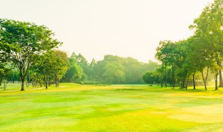 修心养性的佛经句子 修心养性的佛经句子有哪些