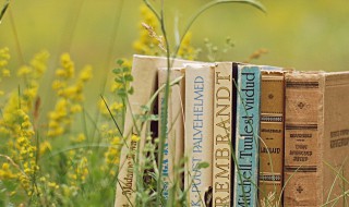 清明通知怎么写 写清明通知方法