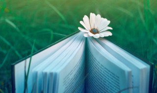 机场值机是什么意思 机场值机解释