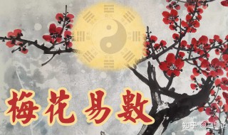 梅花易数是可以什么都能预测吗 梅花易数是不是什么都能预测