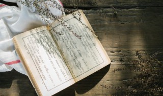 肉的拼音怎么写 肉的读音