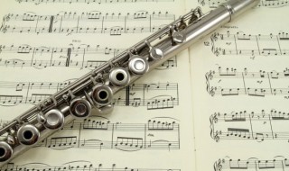 盛夏的果实歌词的内涵 盛夏的果实完整歌词