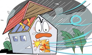 台风白色预警信号是什么意思 台风白色预警信号的含义