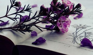 多重网络是什么意思 多重网络解释