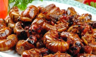 吃爬蚱禁忌 吃爬蚱禁忌是什么