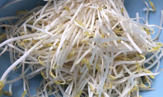 怎样清洗豆芽才干净 清洗豆芽的方法