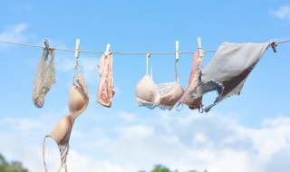 乳垫怎么清洗干净 乳垫怎么清洗