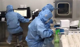 济南现在做核酸检测多少钱一个人 济南现在做核酸检测的费用