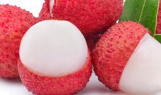 一骑红尘妃子笑 是什么意思 一骑红尘妃子笑的意思是什么