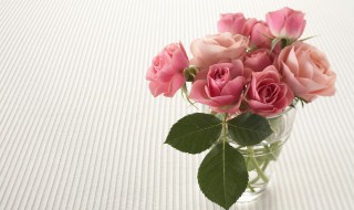 33支玫瑰代表什么意义 送33支玫瑰的寓意是什么