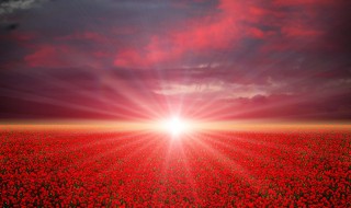 太阳是什么物体呢 太阳是什么物体