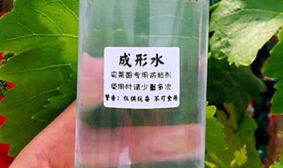 成型水是什么 成型水可以用什么代替
