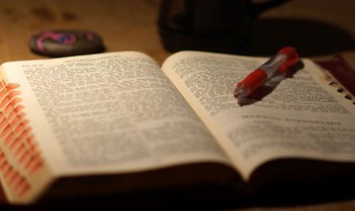 网络新词浪是什么意思 网络新词浪解释