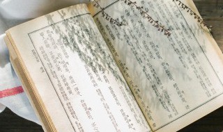 30个有意思的历史典故 30个有意思的历史典故有哪些