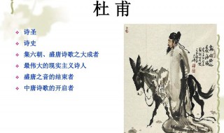 诗圣是指哪一位诗人 诗圣介绍