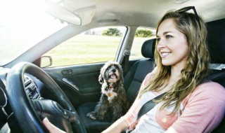 限行什么意思 限行是什么意思