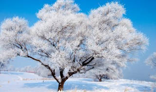 四大奇观是指哪四大 中国四大奇观是指什么