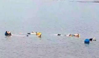 旱鸭子指什么样的人 旱鸭子介绍