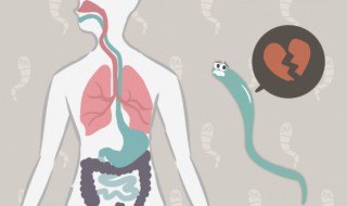 寄生虫是什么样子的 寄生虫简单介绍