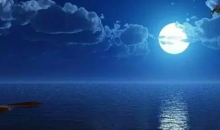 但愿人长久千里共婵娟全诗是什么 但愿人长久千里共婵娟全文介绍