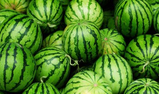 西瓜与油桃能一起吃吗 西瓜与油桃能不能一起吃