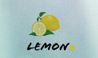 lemon是什么意思中文 lemon英语单词造句