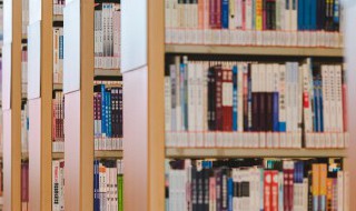 缘分0作品介绍 缘分0作品介绍内容