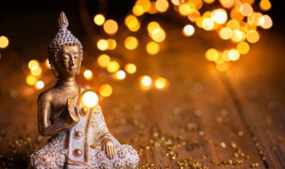 种什么因得什么果是什么意思 种什么因得什么果的意思