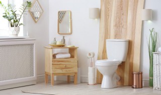 厕所有蛆怎么消灭 厕所有蛆如何消灭