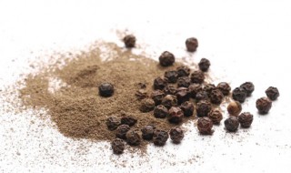 胡椒粉是什么做的 胡椒粉由什么制作