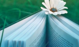 为组词有哪些 为怎么组词